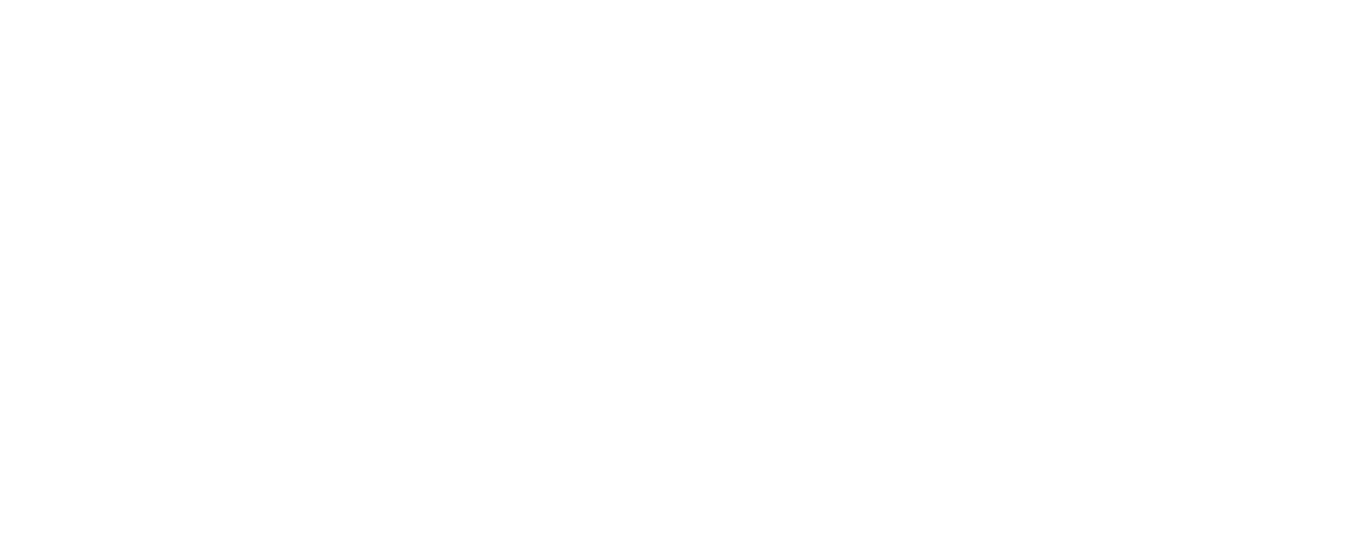 AMY Insurance Group